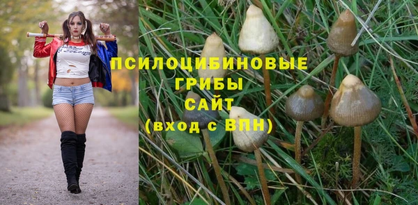 спайс Абинск