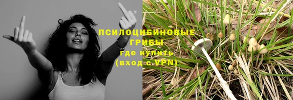 амф Алексин