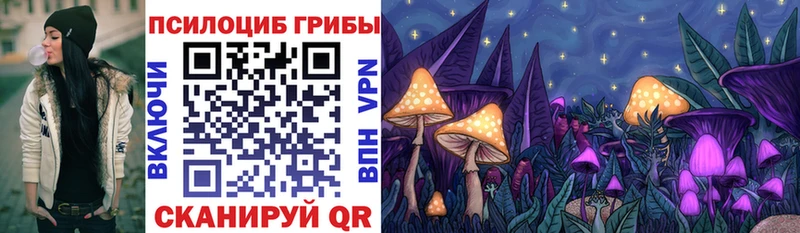кракен ссылки  Щёкино  Галлюциногенные грибы Cubensis 